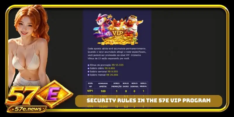 Security rules in the 57E VIP program